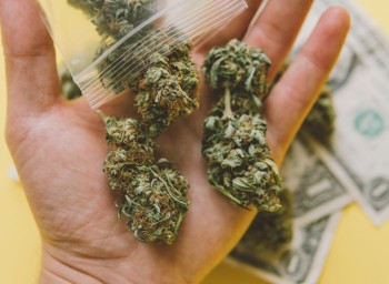 7 Mistakes Made When Buying Cannabis Flower