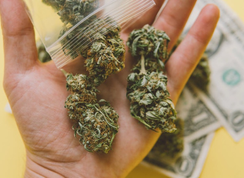 buying cannabis flower mistakes