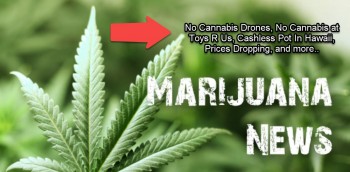 Cannabis News Headlines - No Cannabis Drones, No Cannabis In Toys R Us, and More