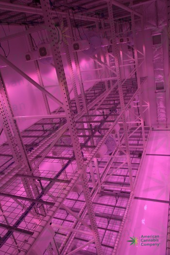 The Most Advanced Grow Facility In the World (VIDEO)