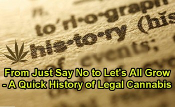 From Just Say No to Let's All Grow - A Quick History of Legal Cannabis