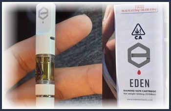 THCv Vape Cartridge Review - Is Eden Extracts' THCv Worth the Hype?