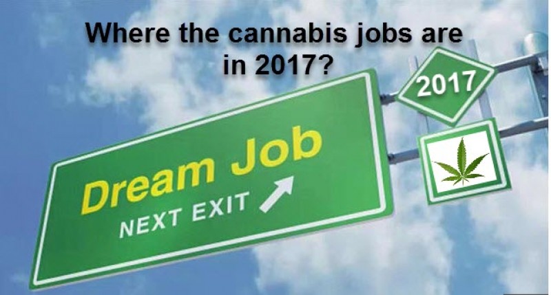 Marijuana jobs