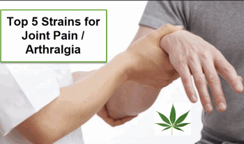 Top 5 Strains for Joint Pain and Arthralgia