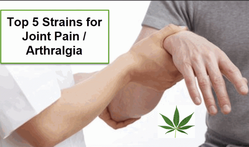 joint pain cannabis