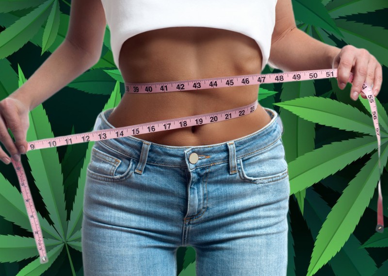 cannabis to loose weight