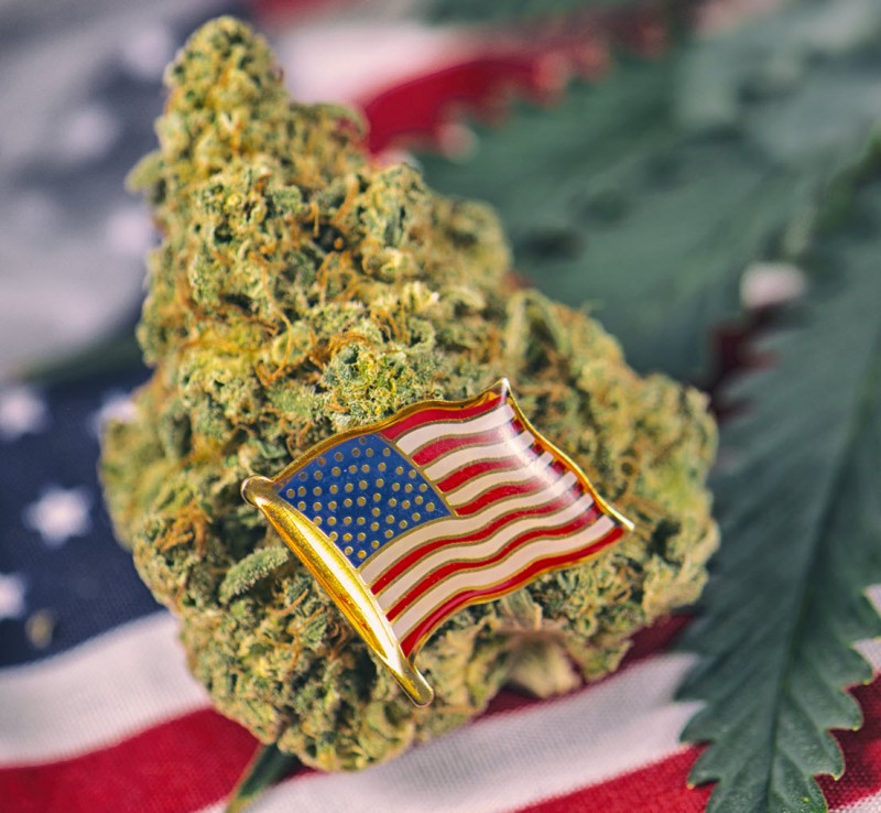 Cannabis legalization due to COVID-19