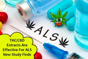THC/CBD Extracts Are Effective For ALS New Study Finds