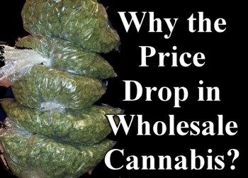 Understanding the Price Drop in Wholesale Cannabis
