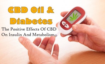 CBD Oil And Diabetes - The Positive Effects Of CBD On Insulin And Metabolism