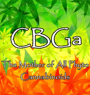 Exploring CBGa: The Mother of All Phyto Cannabinoids