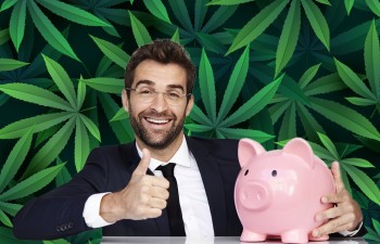 Guess Which Banks Now Want Cannabis Clients? - Over 800 Banks File FinCEN Reports to Accept Marijuana Businesses