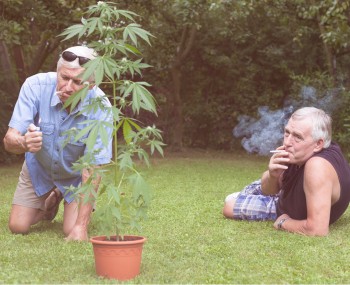 Grandma and Grandpa Are Getting Way Too Stoned - Doctors Issue Warning about Seniors and THC