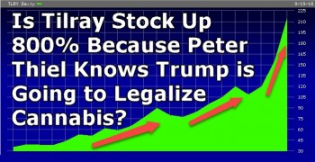 Is Tilray Stock Up 800% Because Peter Thiel Knows Trump is Going to Legalize Cannabis?