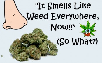 It Smells Like Weed Everywhere Now, So What?