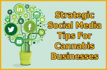 Strategic Social Media Tips For Cannabis Businesses