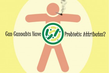 Can Cannabis Have Probiotic Attributes?