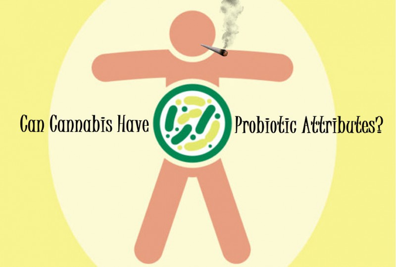 cannabis probiotics