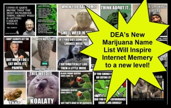 The DEA’s New Marijuana Name List Will Inspire Internet Memery to a new Level