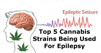 Top 5 Marijuana Strains For Epilepsy