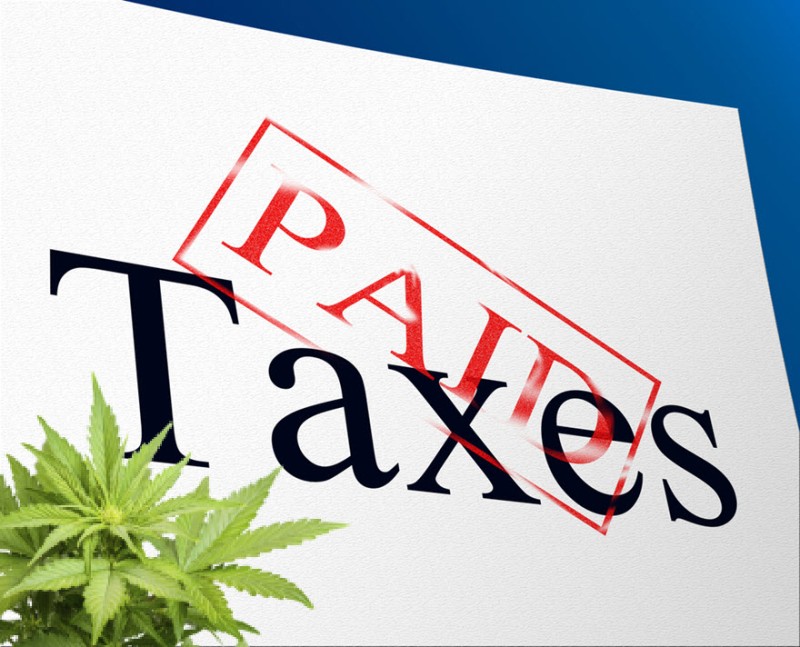 cannabis taxes gettign paid