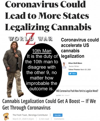 The Cannabis 10th Man - What if Everyone is Wrong about a Recession Leading to Federal Cannabis Legalization