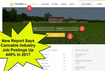 New Report Says Cannabis Industry Job Postings Up 445% In 2017