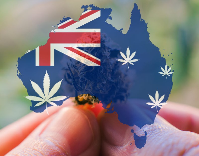 Australians buying medical marijuana