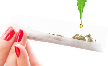 How Do Infused Pre-Rolls Enhance Your Cannabis Experience?