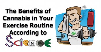 The Benefits of Cannabis in Your Exercise Routine According to Science