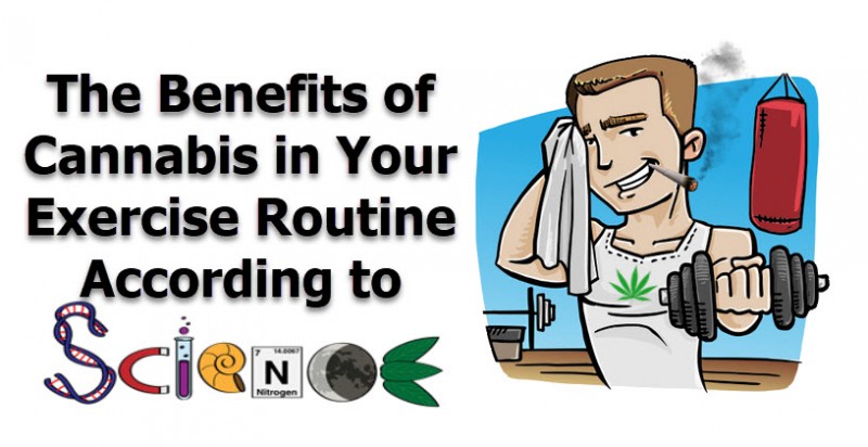 working out with cannabis
