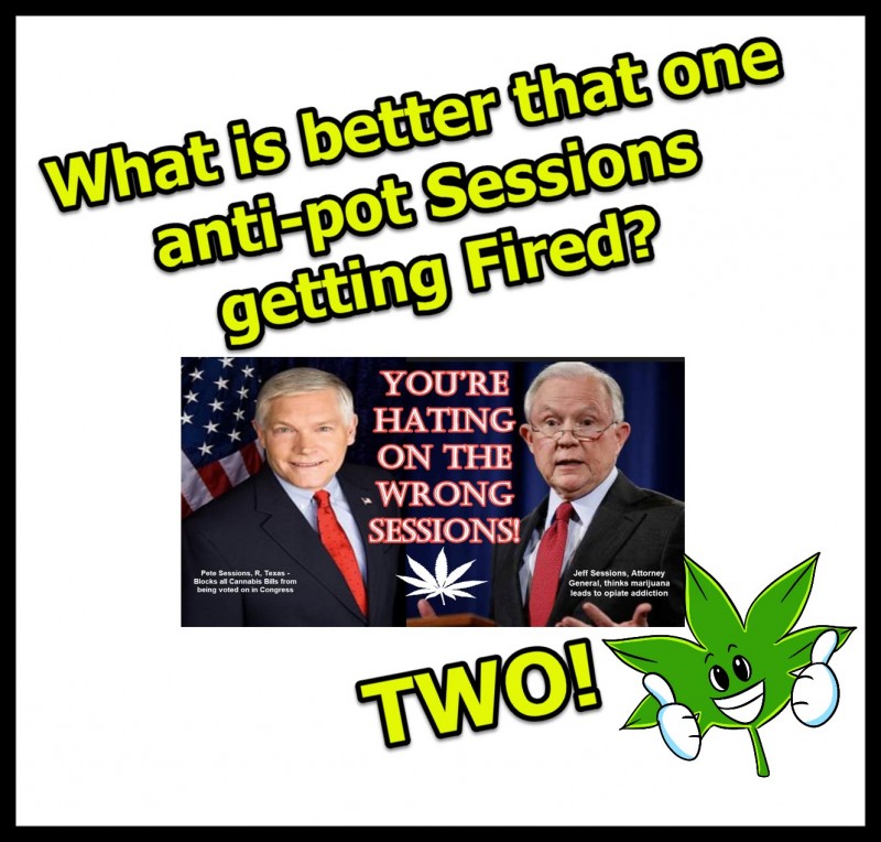 Jeff Sessions fired