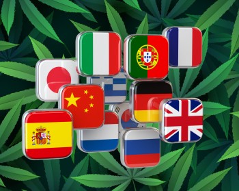 The State of the World, Today - A Stoner's Take on the Current State of Affairs Across the World