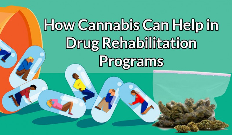 cannabis for drug rehab