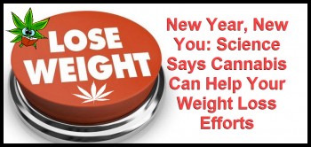 How Cannabis is Helping People Lose Weight and Improve Their Diets