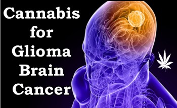 Cannabis for Glioma Brain Cancer