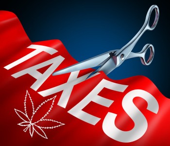 Want to Double Profits in the Cannabis Industry Overnight? Get Rid of the 280E Tax Code like Green Market Report Says!