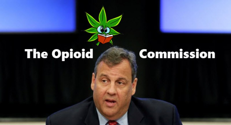 christie on weed