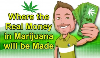 Where the Real Money in Marijuana Will be Made