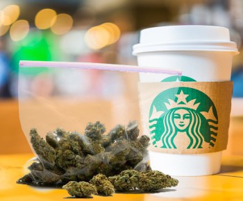 Do You Spend More on Cannabis or Starbuck's Coffee? - Americans Just Tipped the Financial Scale Green