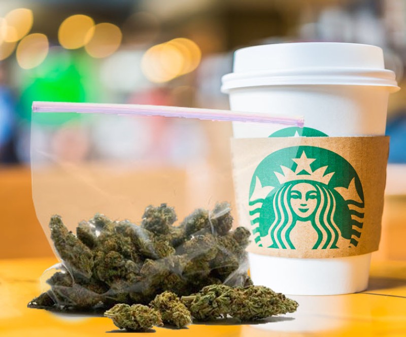 Starbucks sales and cannabis sales