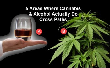 5 Areas Where Cannabis & Alcohol Actually Do Cross Paths