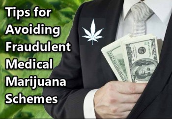Tips for Avoiding Fraudulent Medical Marijuana Schemes