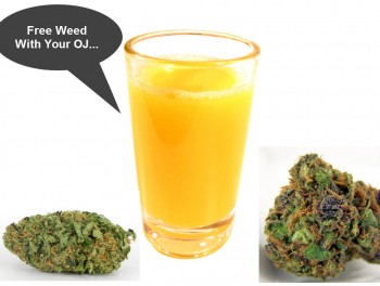 Free Weed With Your Orange Juice, Sir?