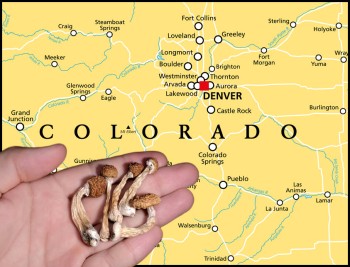 Legal Psychedelic Dispensaries for Psilocybin and Shrooms Launch in Colorado -  What You Need to Know!