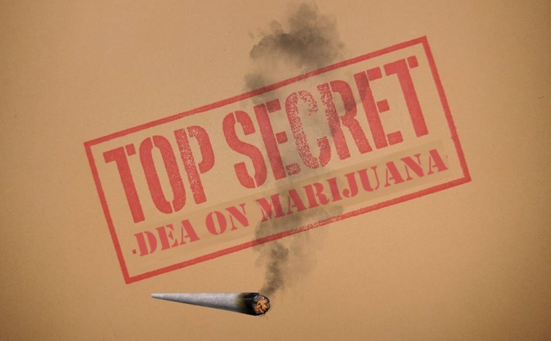 DEA secret memos on marijuana