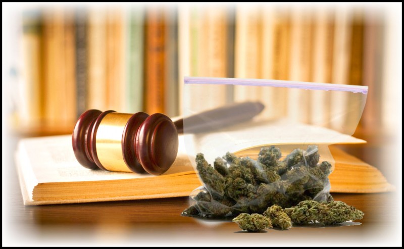 Mexican Supreme Court on marijuana