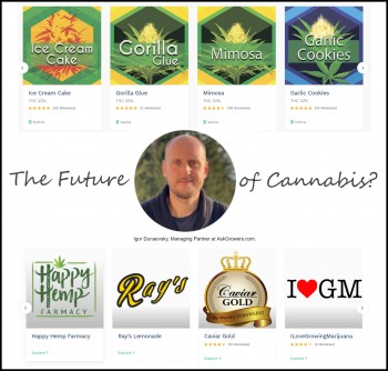 The Future of the Cannabis Industry in the Next 10 Years with Igor Dunaevsky
