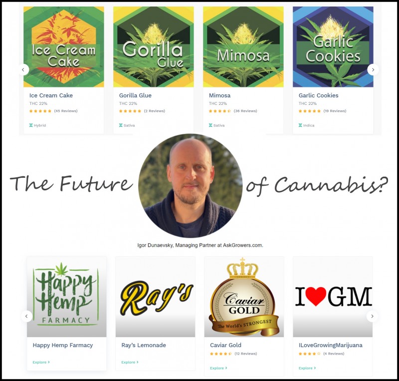 the future of cannabis