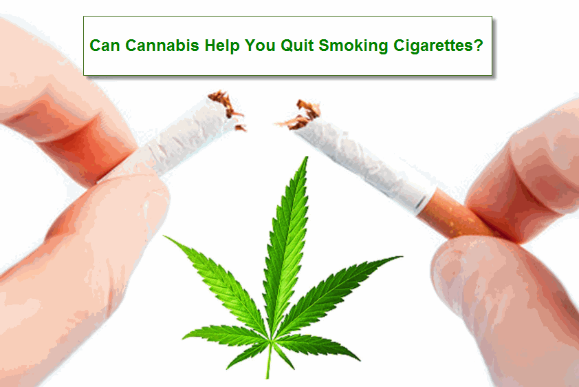 help quit smoking marijuana